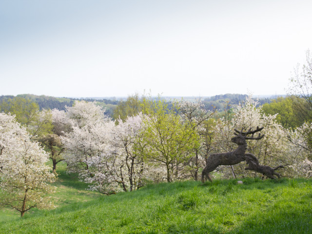 Kunstwerk "Die Jagd" vor blühenden Obstbäumen • © Bansen/Wittig