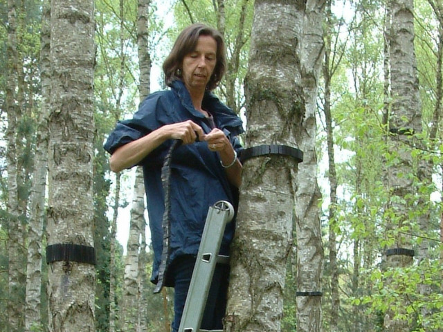 Susanne Ruoff bringt neue Holzringe an ihrem Kunstwerk "intermezzo" an. • © Naturparkarchiv